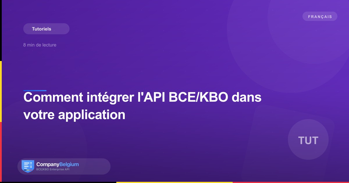 Comment intégrer l'API BCE/KBO dans votre application