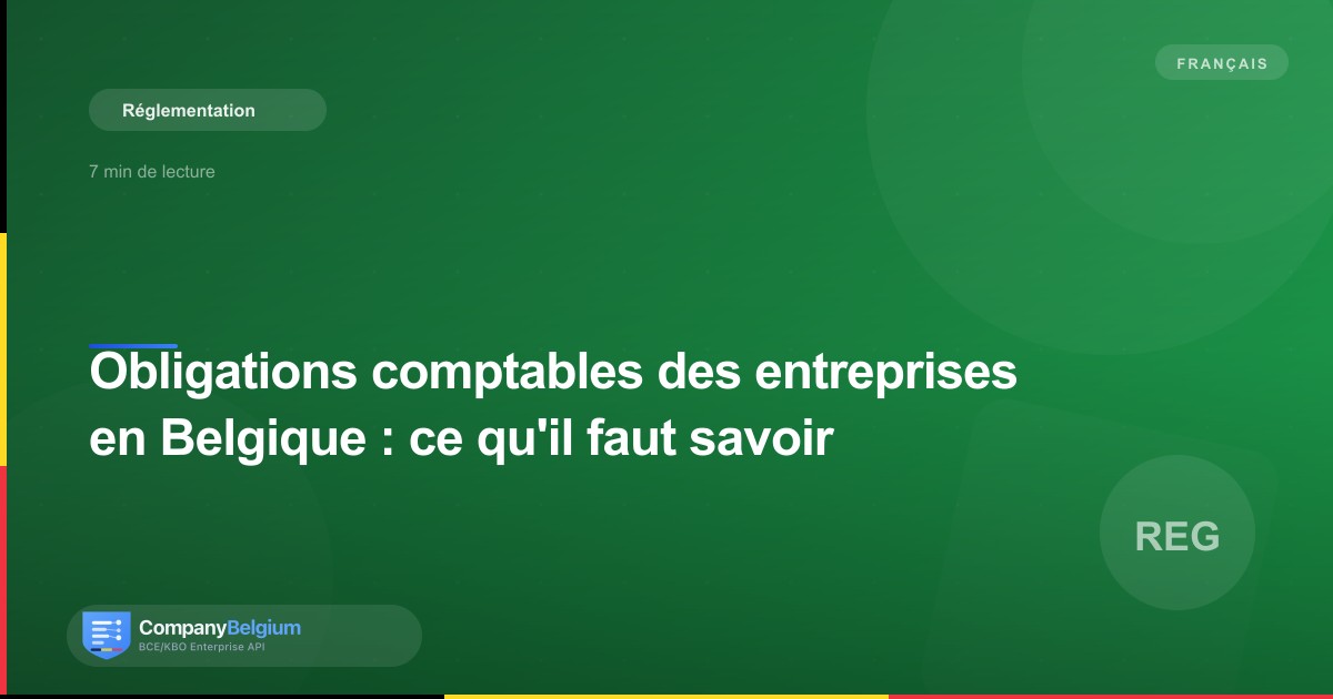 Obligations comptables des entreprises en Belgique : ce qu'il faut savoir