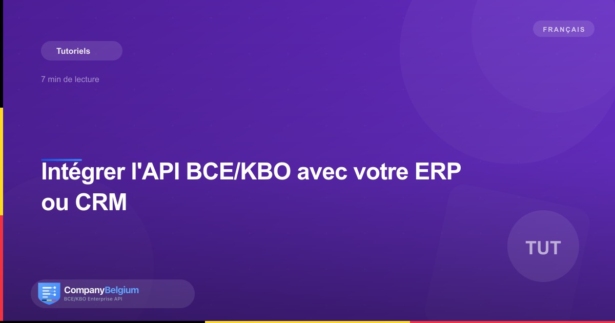 Intégrer l'API BCE/KBO avec votre ERP ou CRM