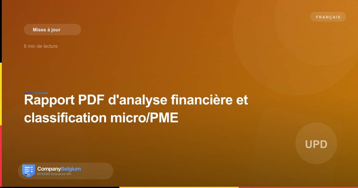 Rapport PDF d'analyse financière et classification micro/PME
