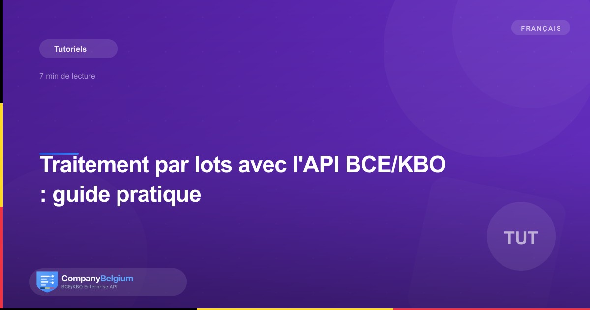 Traitement par lots avec l'API BCE/KBO : guide pratique